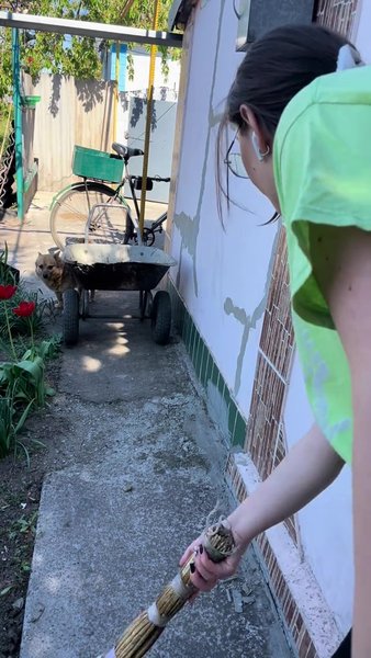 Алина купила дом в деревне Купить дом в селе